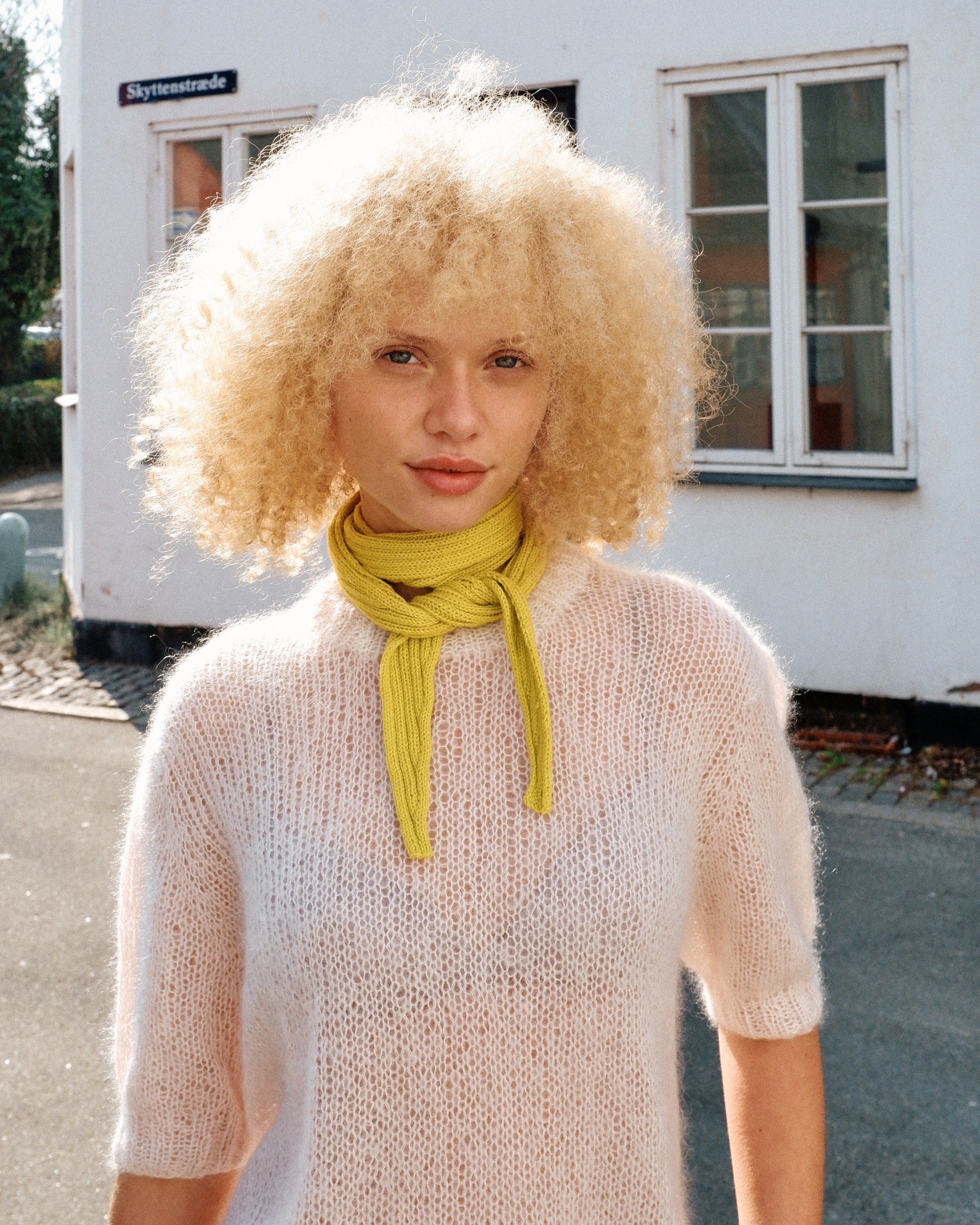 Alex Scarf - Image 3
